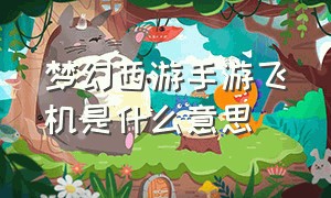 梦幻西游手游飞机是什么意思