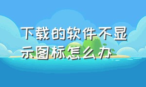 下载的软件不显示图标怎么办（下载的软件桌面没有图标怎么办）