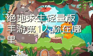 绝地求生轻量版手游第1人称在哪里