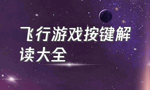 飞行游戏按键解读大全（飞行游戏说明）