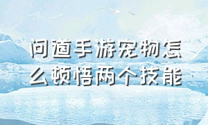 问道手游宠物怎么顿悟两个技能