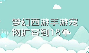 梦幻西游手游宠物扩容到18个