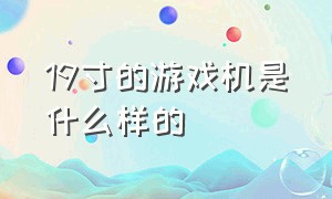 19寸的游戏机是什么样的