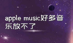 apple music好多音乐放不了