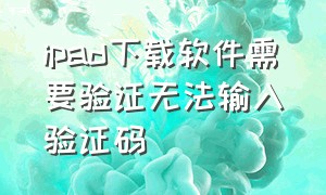 ipad下载软件需要验证无法输入验证码