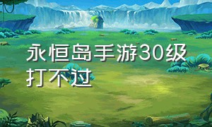 永恒岛手游30级打不过