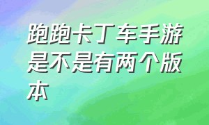 跑跑卡丁车手游是不是有两个版本