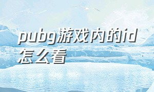 pubg游戏内的id怎么看（pubg怎么查看自己的游戏昵称）