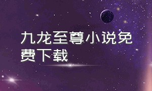 九龙至尊小说免费下载