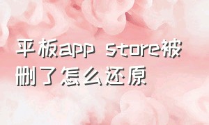 平板app store被删了怎么还原（平板app store不小心删了怎么复原）