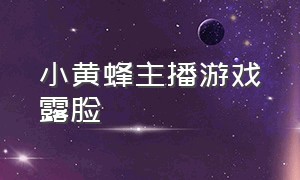 小黄蜂主播游戏露脸