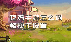 吃鸡手游怎么调整操作设置（吃鸡手游画面怎么设置最好）