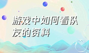 游戏中如何看队友的资料