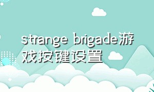 strange brigade游戏按键设置