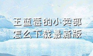 王蓝莓的小卖部怎么下载最新版（王蓝莓的幸福生活游戏）