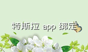 特斯拉 app 绑定