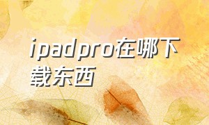 ipadpro在哪下载东西（ipad pro下载软件是免费的吗）
