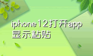 iphone12打开app显示粘贴