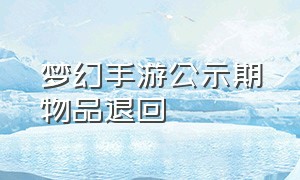 梦幻手游公示期物品退回