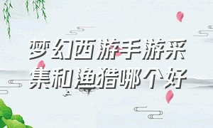 梦幻西游手游采集和渔猎哪个好（梦幻西游手游考古渔猎耕种哪个好）