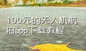 100元的无人机航拍app下载教程