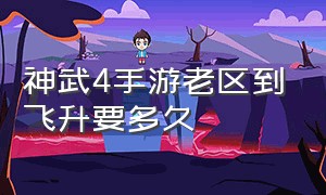 神武4手游老区到飞升要多久