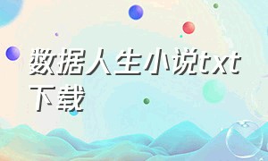 数据人生小说txt下载