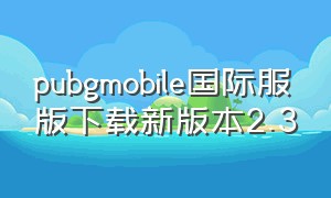 pubgmobile国际服版下载新版本2.3（pubg mobile国际服最新版怎么下）