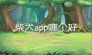 柴犬app哪个好（柴犬下载）