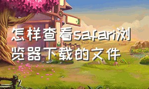 怎样查看safari浏览器下载的文件