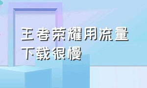 王者荣耀用流量下载很慢（王者荣耀用流量下载很慢怎么回事）