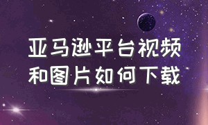 亚马逊平台视频和图片如何下载