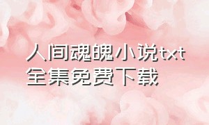 人间魂魄小说txt全集免费下载（人间无魂txt）