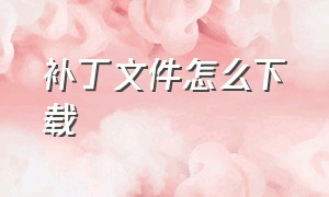 补丁文件怎么下载（补丁文件怎么安装）