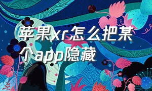 苹果xr怎么把某个app隐藏