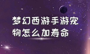 梦幻西游手游宠物怎么加寿命