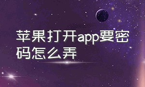 苹果打开app要密码怎么弄