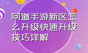 问道手游新区怎么升级快速升级技巧详解