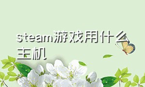 steam游戏用什么主机