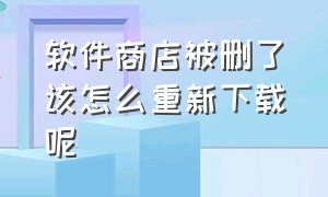 软件商店被删了该怎么重新下载呢（软件商店被删了该怎么重新下载呢视频）