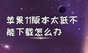 苹果11版本太低不能下载怎么办