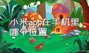 小米app在手机里哪个位置（小米手机app不见了在哪里找）