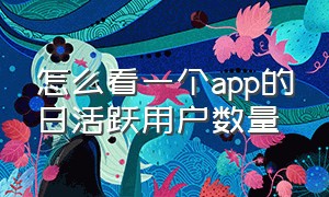 怎么看一个app的日活跃用户数量