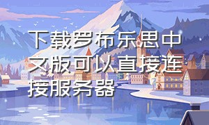 下载罗布乐思中文版可以直接连接服务器