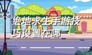 绝地求生手游技巧设置在哪（绝地求生手游怎么设置教程）