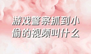 游戏警察抓到小偷的视频叫什么（警察抓小偷游戏叫什么名字）