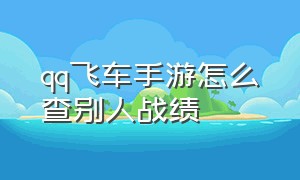 qq飞车手游怎么查别人战绩（qq飞车手游挂机辅助免费）