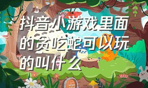 抖音小游戏里面的贪吃蛇可以玩的叫什么