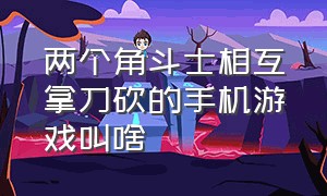 两个角斗士相互拿刀砍的手机游戏叫啥