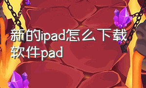 新的ipad怎么下载软件pad